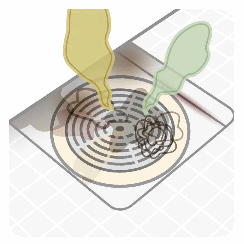 Image presents What Causes Smelly Drains